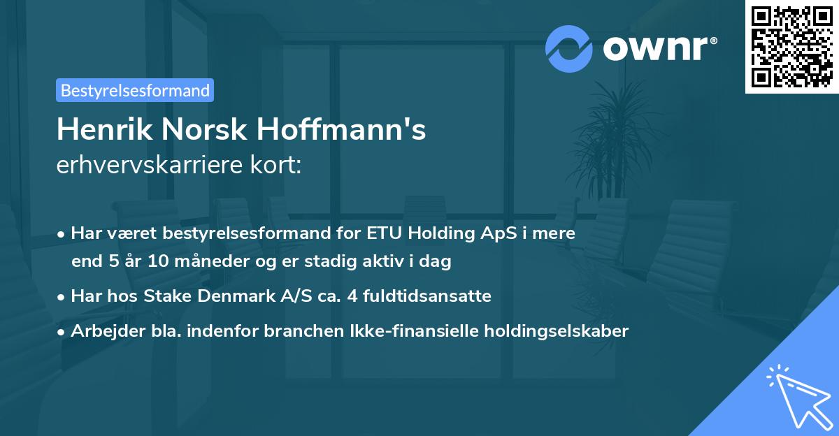 Henrik Norsk Hoffmann's erhvervskarriere kort