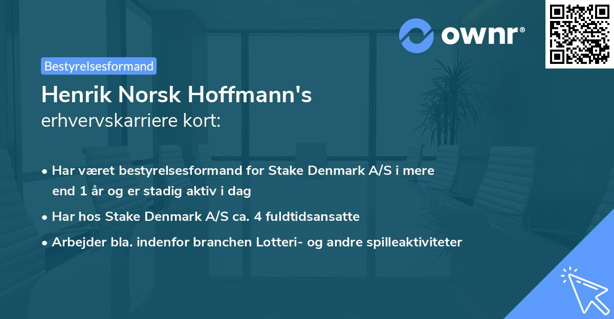 Henrik Norsk Hoffmann's erhvervskarriere kort