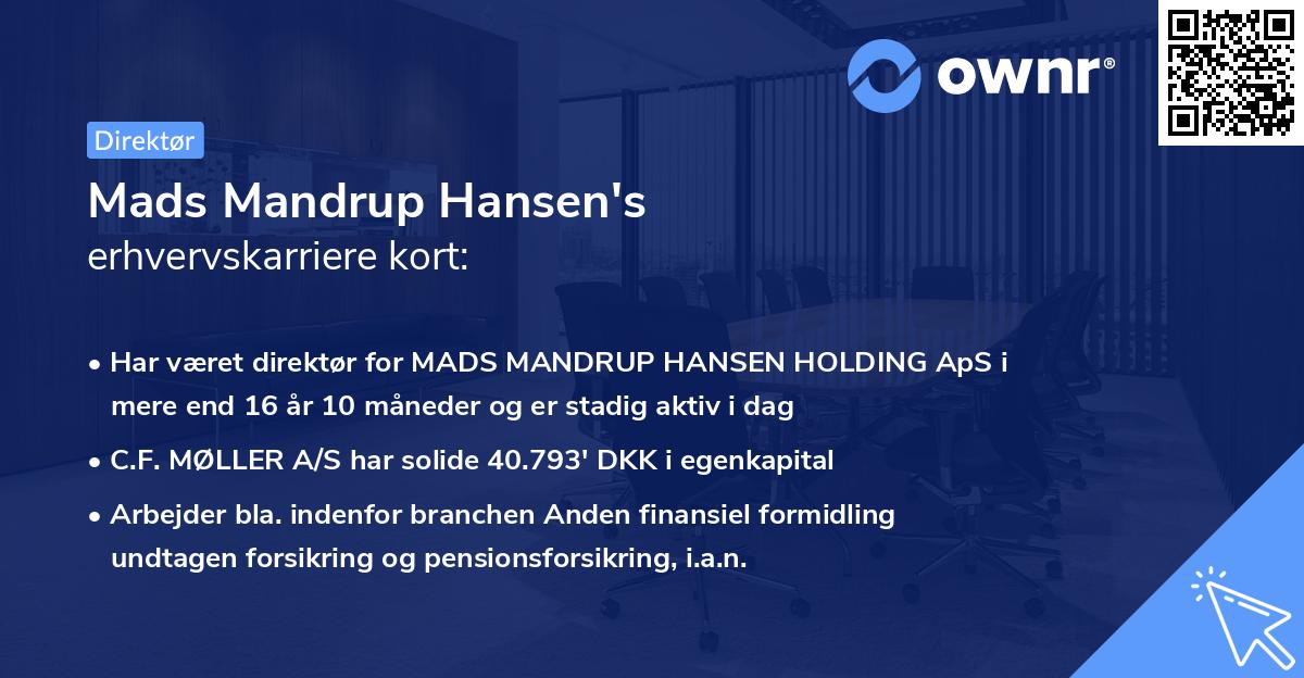 Mads Mandrup Hansen's erhvervskarriere kort