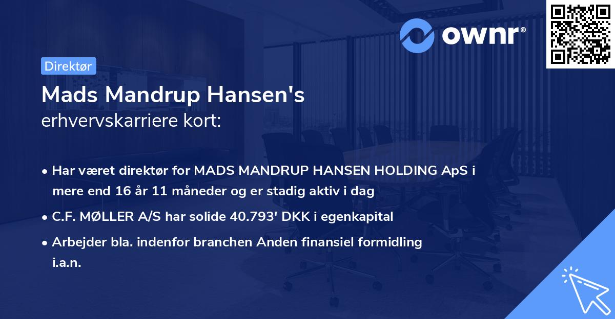 Mads Mandrup Hansen's erhvervskarriere kort