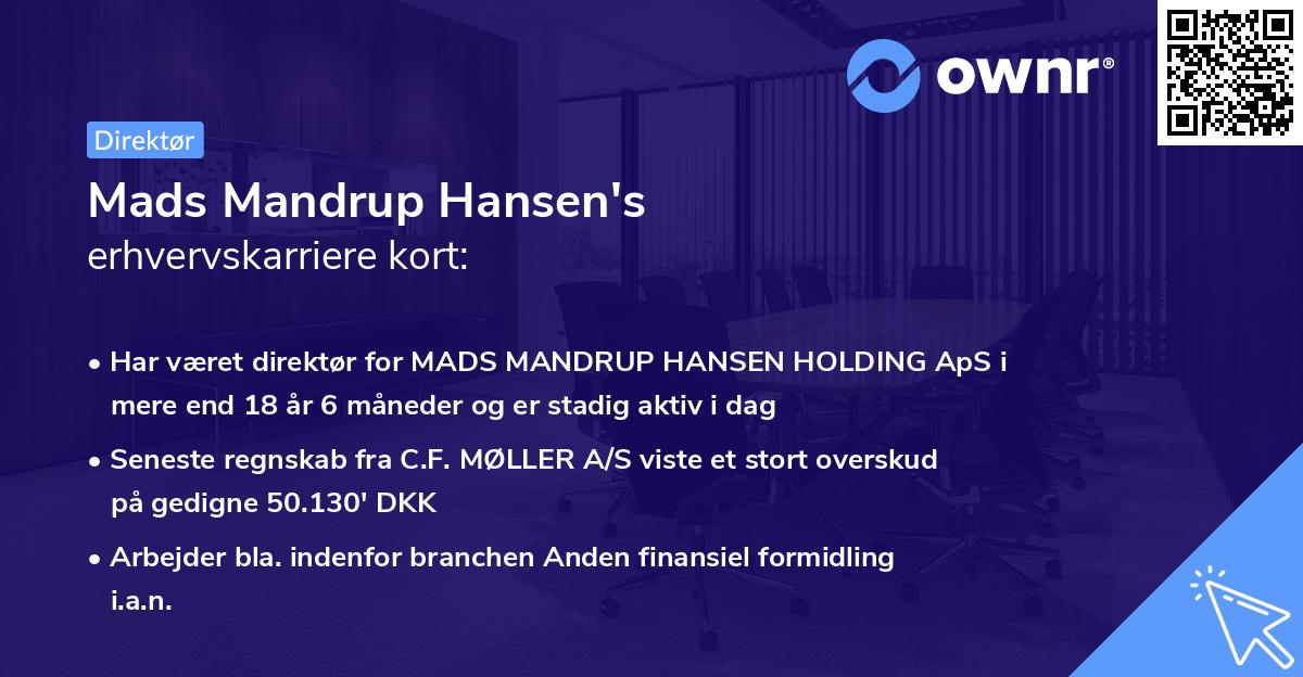 Mads Mandrup Hansen's erhvervskarriere kort