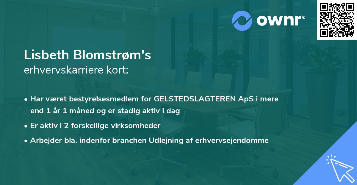 Lisbeth Blomstrøm's erhvervskarriere kort