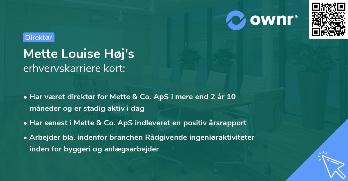 Mette Louise Høj's erhvervskarriere kort