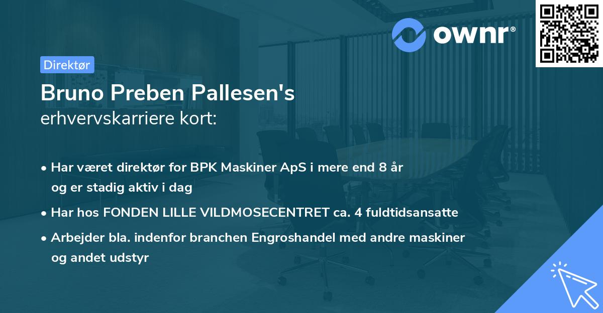 Bruno Preben Pallesen's erhvervskarriere kort