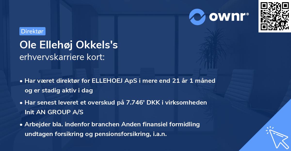 Ole Ellehøj Okkels's erhvervskarriere kort