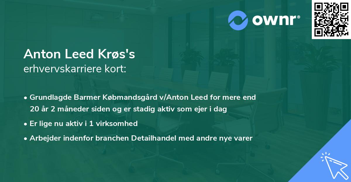 Anton Leed Krøs's erhvervskarriere kort