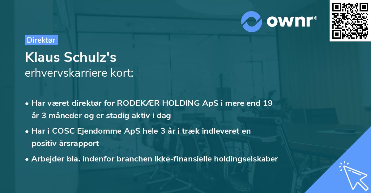 Klaus Schulz's erhvervskarriere kort