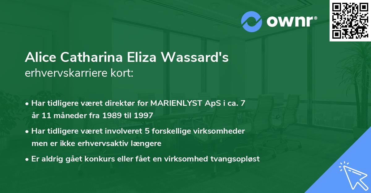 Alice Catharina Eliza Wassard's erhvervskarriere kort