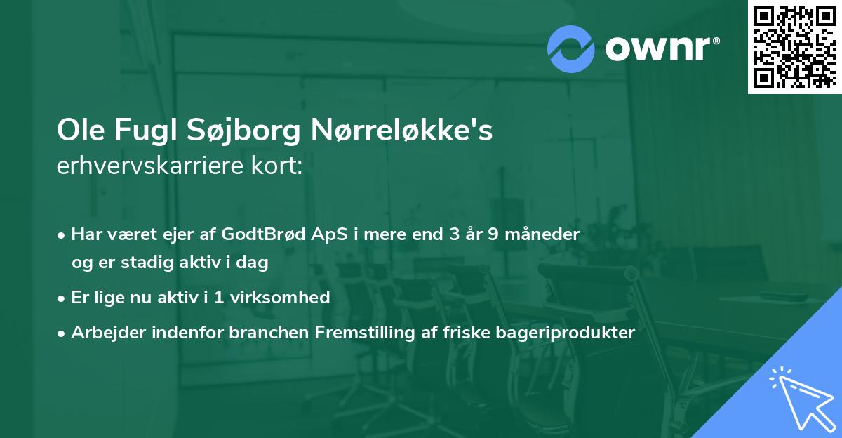 Ole Fugl Søjborg Nørreløkke's erhvervskarriere kort