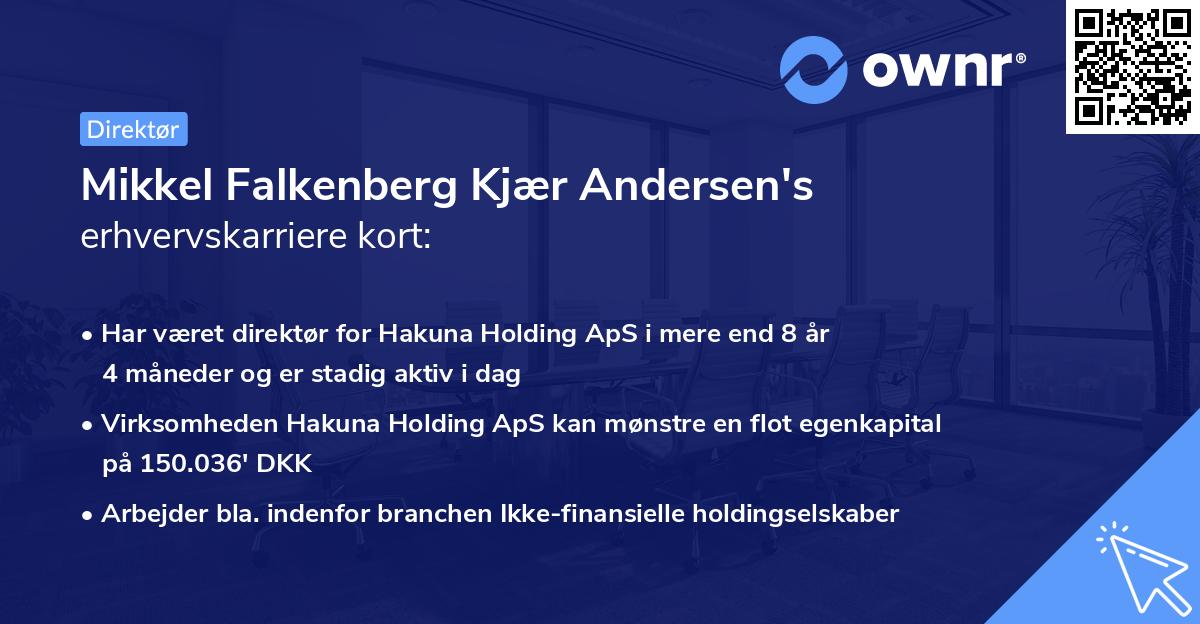 Mikkel Falkenberg Kjær Andersen's erhvervskarriere kort