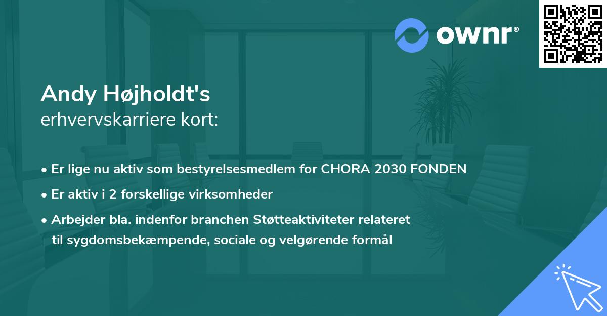 Andy Højholdt's erhvervskarriere kort