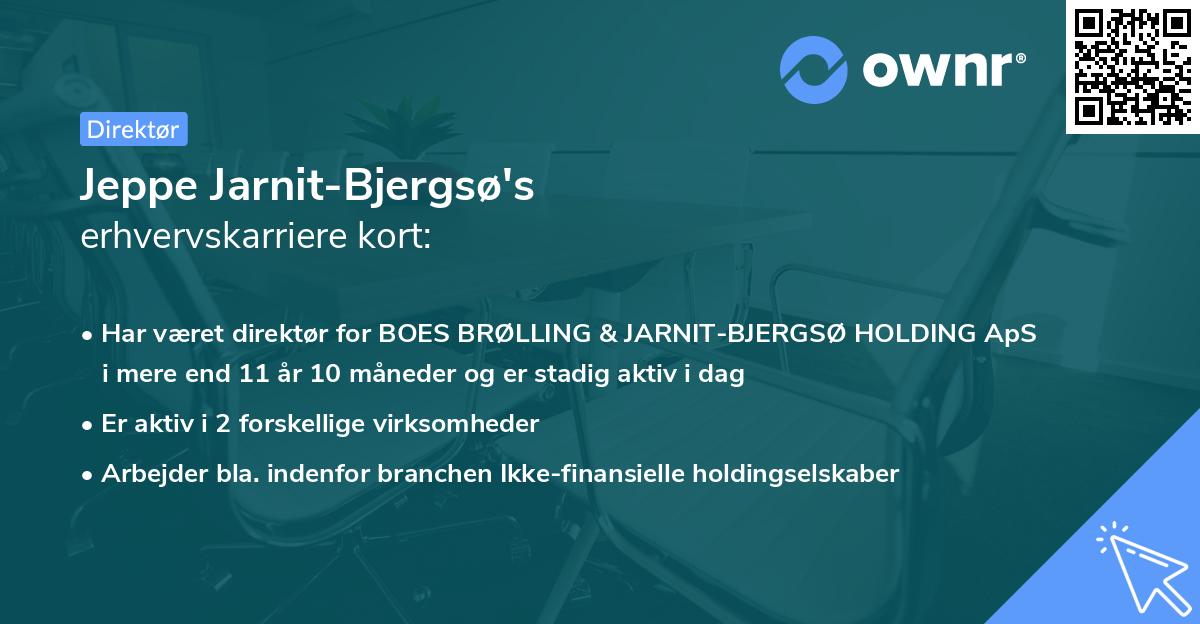 Jeppe Jarnit-Bjergsø's erhvervskarriere kort