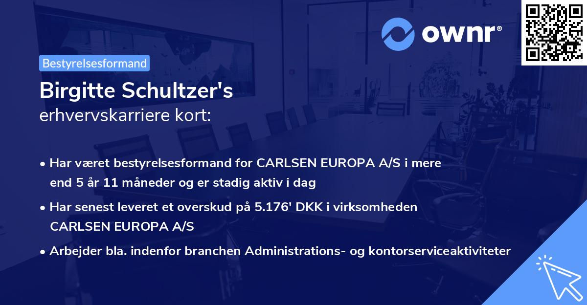 Birgitte Schultzer's erhvervskarriere kort