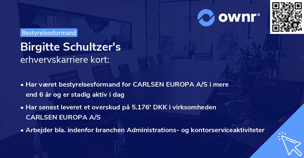 Birgitte Schultzer's erhvervskarriere kort