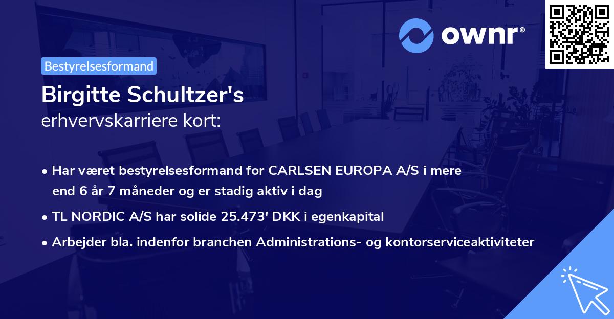 Birgitte Schultzer's erhvervskarriere kort