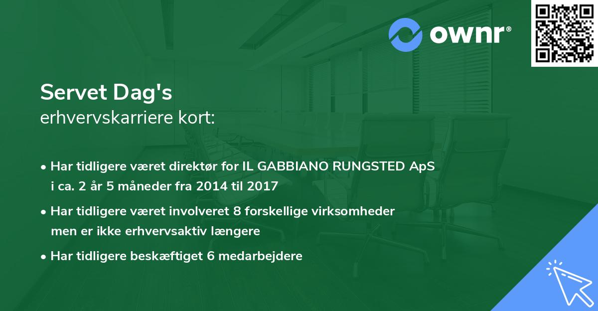 Servet Dag's erhvervskarriere kort