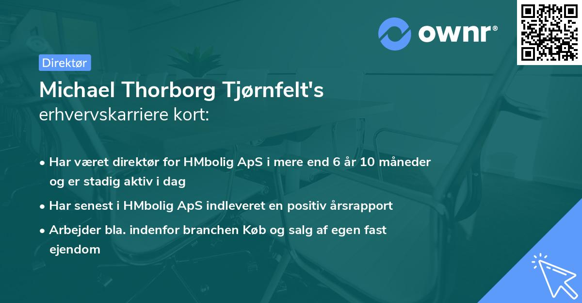 Michael Thorborg Tjørnfelt's erhvervskarriere kort