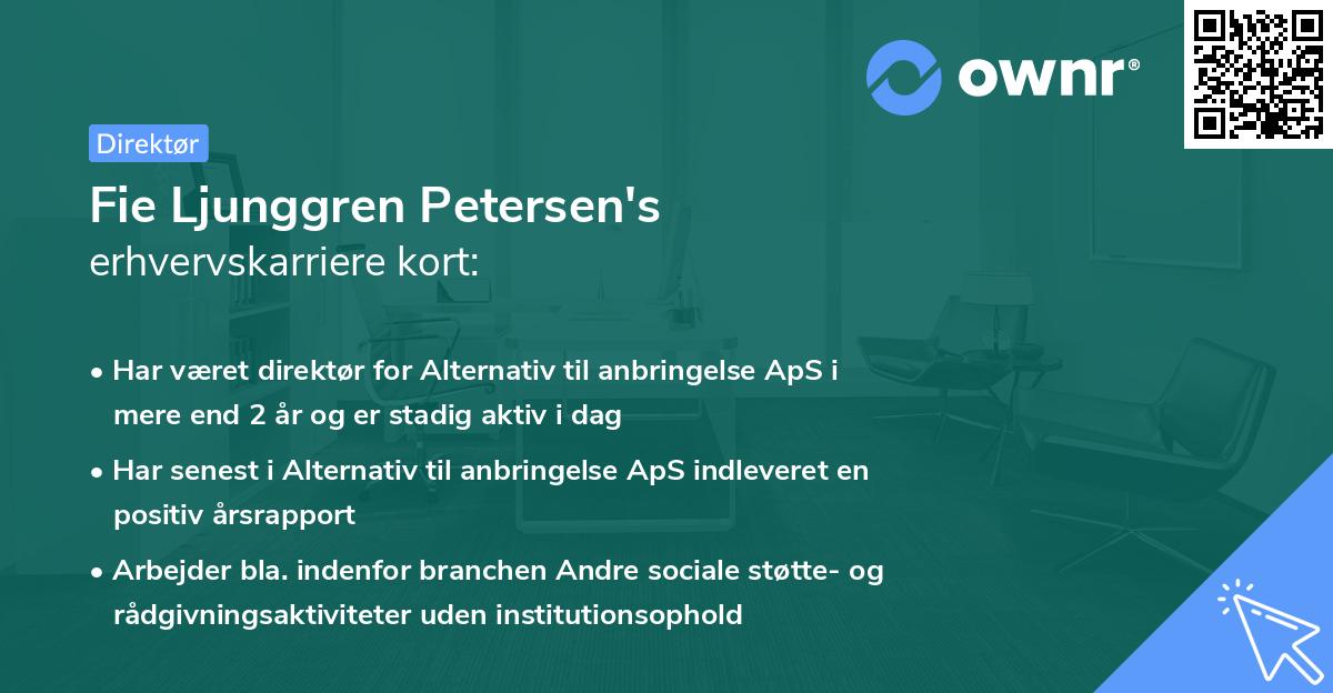 Fie Ljunggren Petersen's erhvervskarriere kort