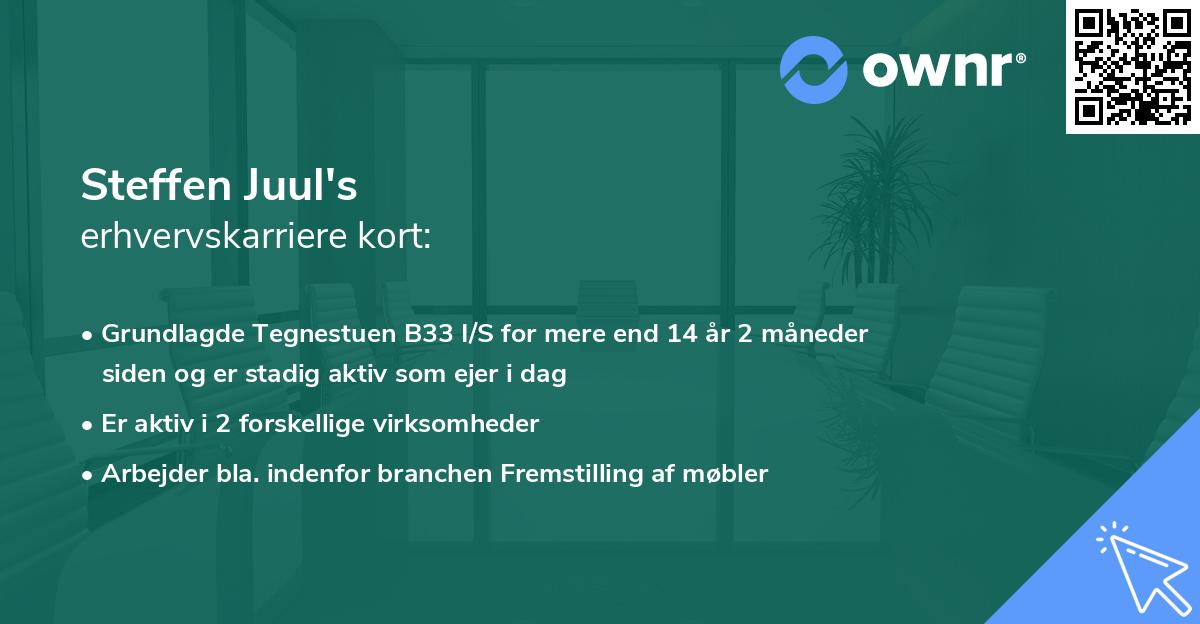 Steffen Juul's erhvervskarriere kort