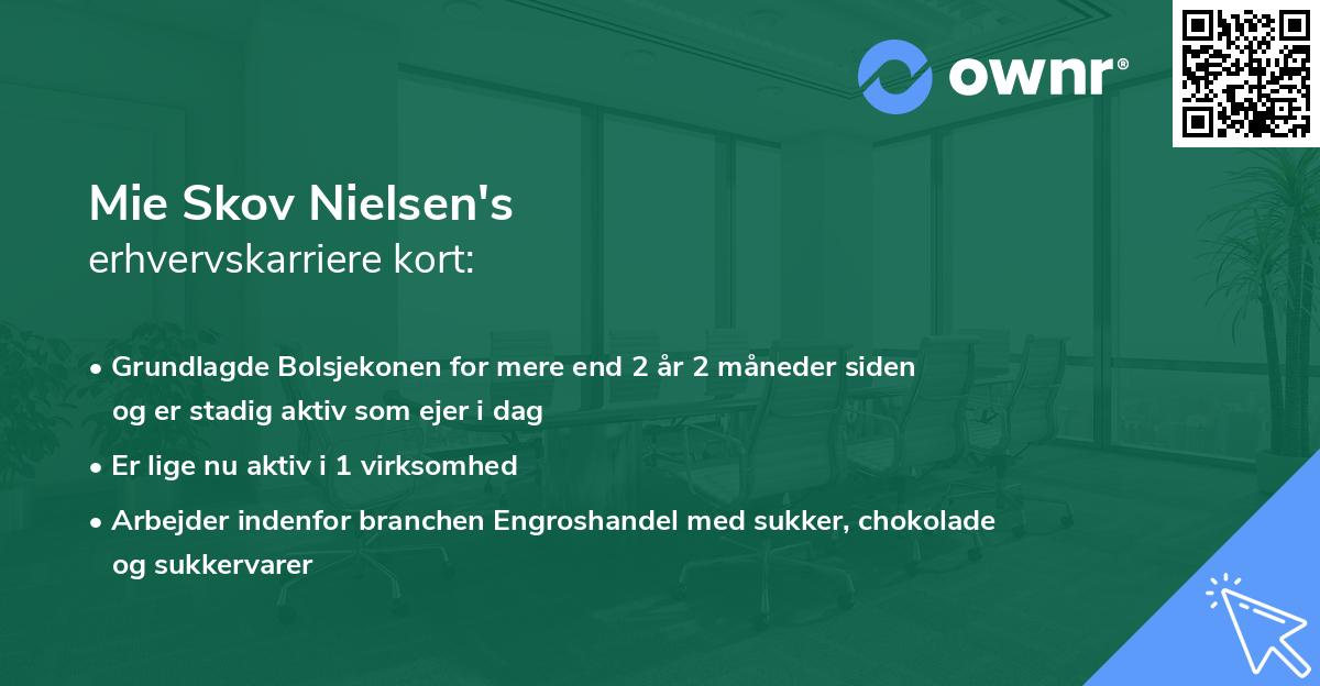 Mie Skov Nielsen's erhvervskarriere kort