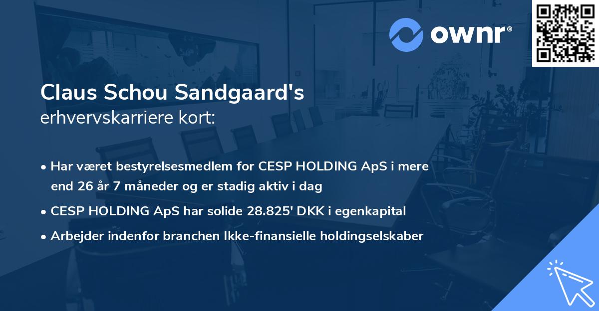 Claus Schou Sandgaard's erhvervskarriere kort