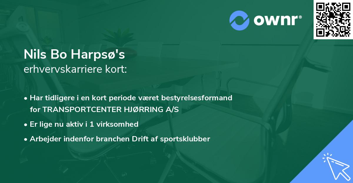 Nils Bo Harpsø's erhvervskarriere kort