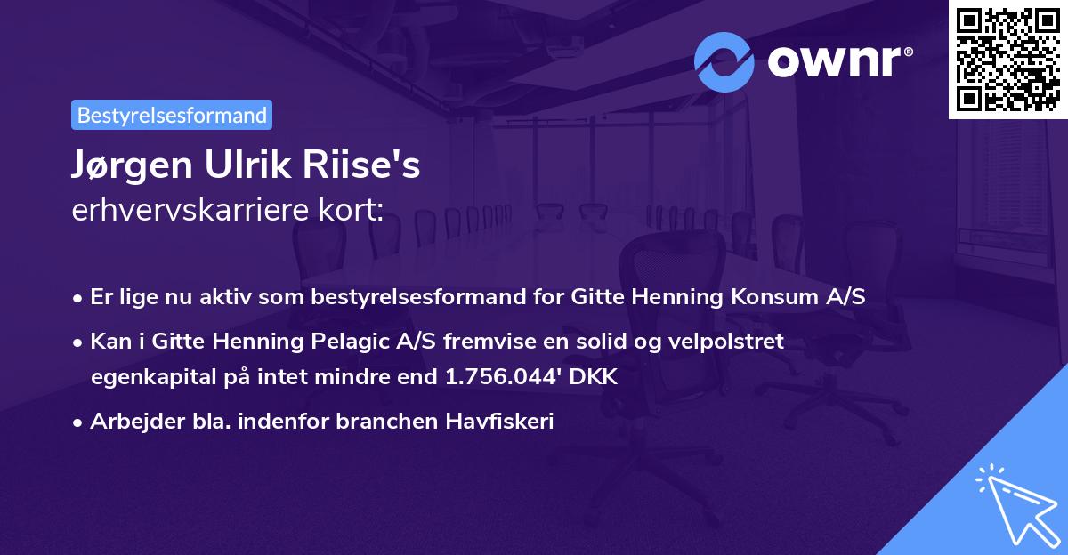 Jørgen Ulrik Riise's erhvervskarriere kort