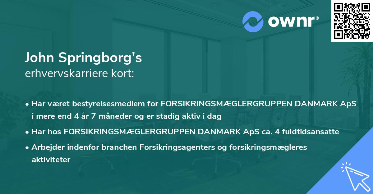 John Springborg's erhvervskarriere kort