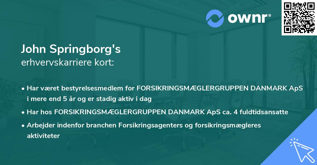 John Springborg's erhvervskarriere kort