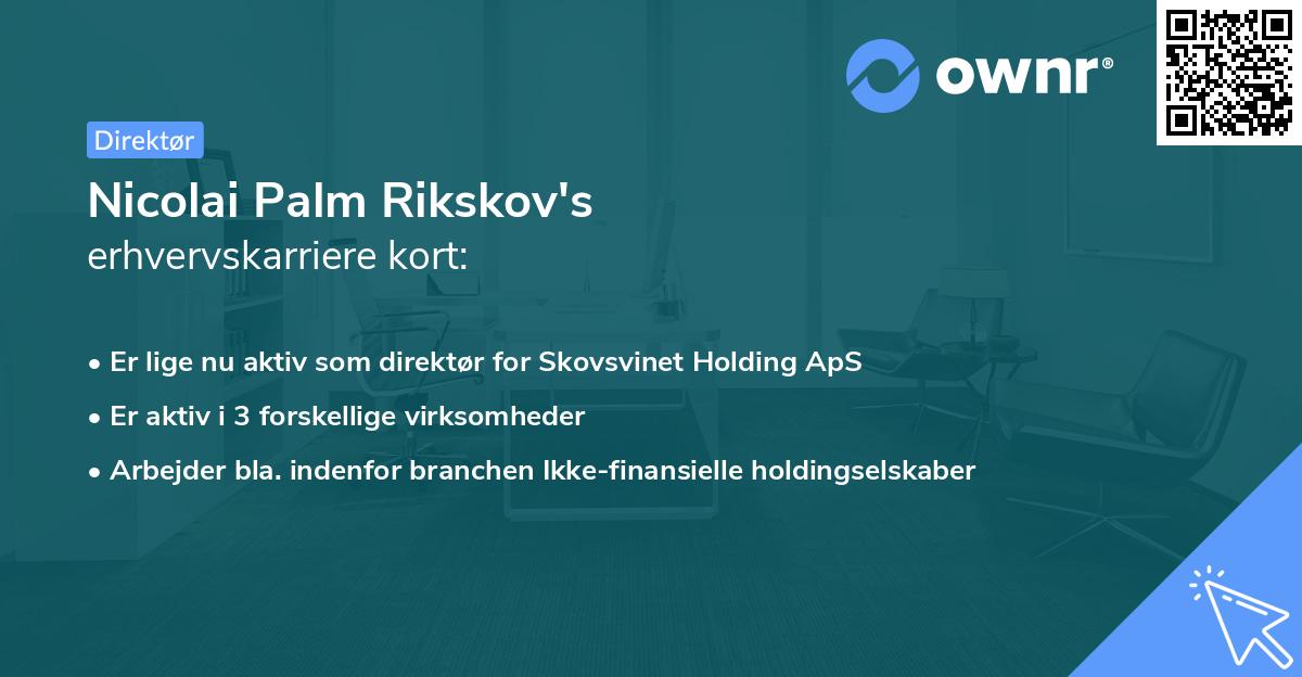 Nicolai Palm Rikskov's erhvervskarriere kort