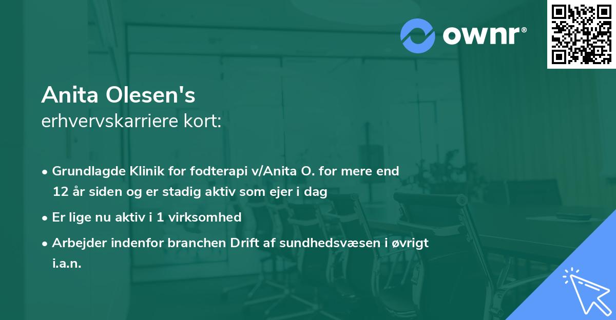 Anita Olesen's erhvervskarriere kort