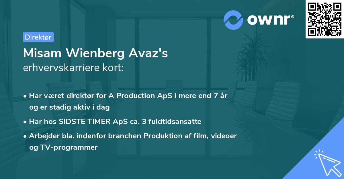 Misam Wienberg Avaz's erhvervskarriere kort