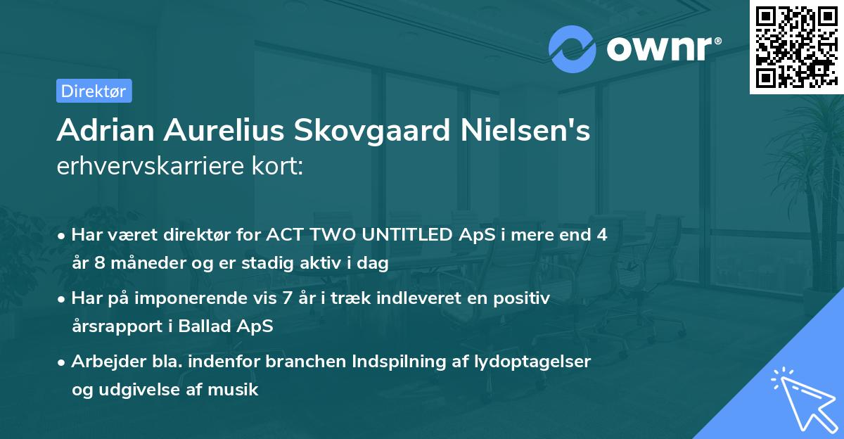 Adrian Aurelius Skovgaard Nielsen's erhvervskarriere kort