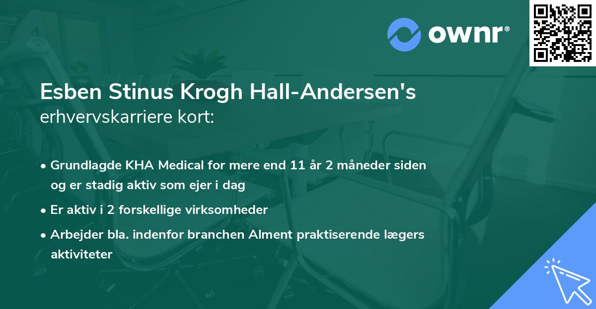 Esben Stinus Krogh Hall-Andersen's erhvervskarriere kort