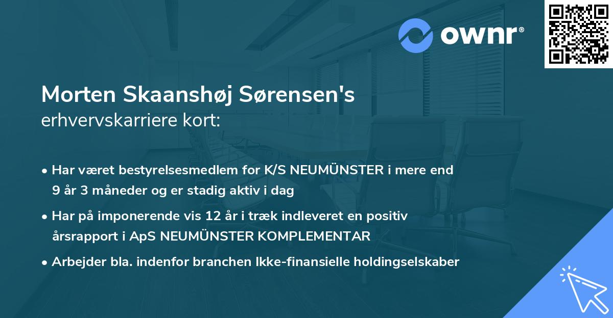 Morten Skaanshøj Sørensen's erhvervskarriere kort
