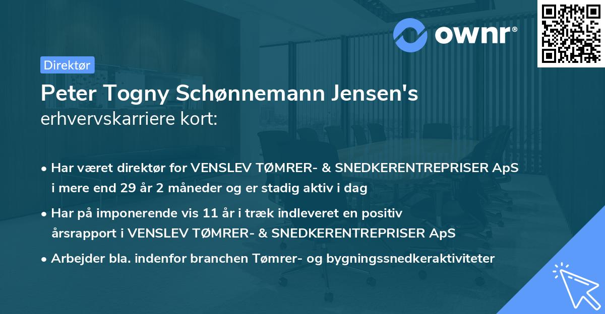 Peter Togny Schønnemann Jensen's erhvervskarriere kort