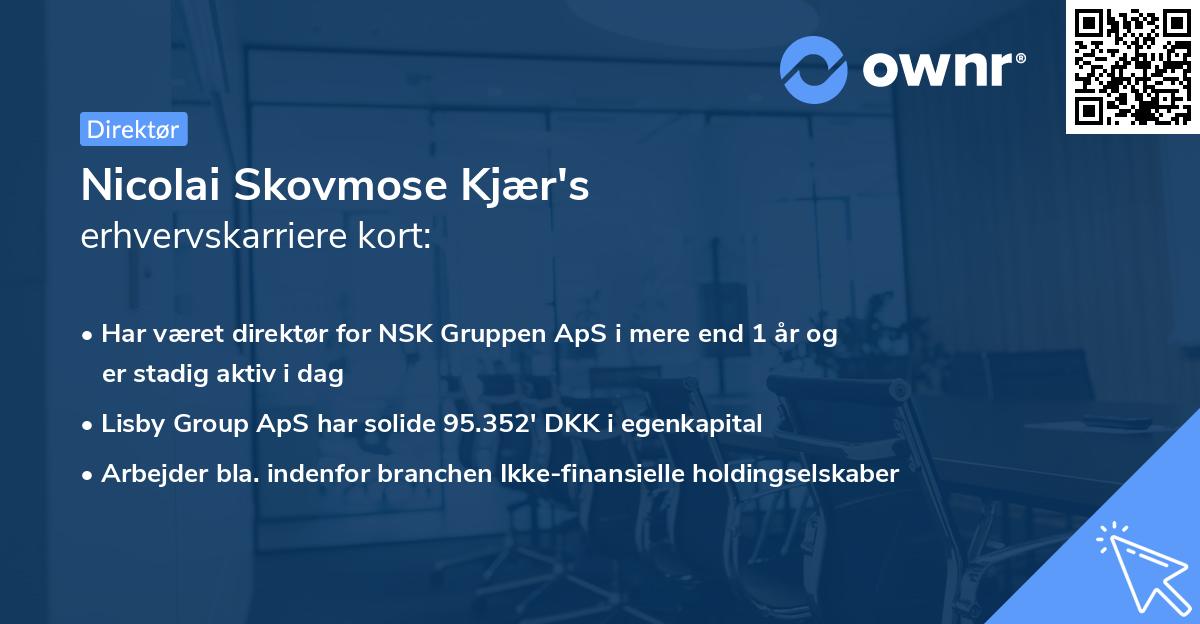 Nicolai Skovmose Kjær's erhvervskarriere kort