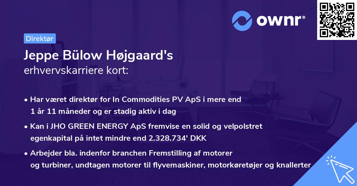 Jeppe Bülow Højgaard's erhvervskarriere kort