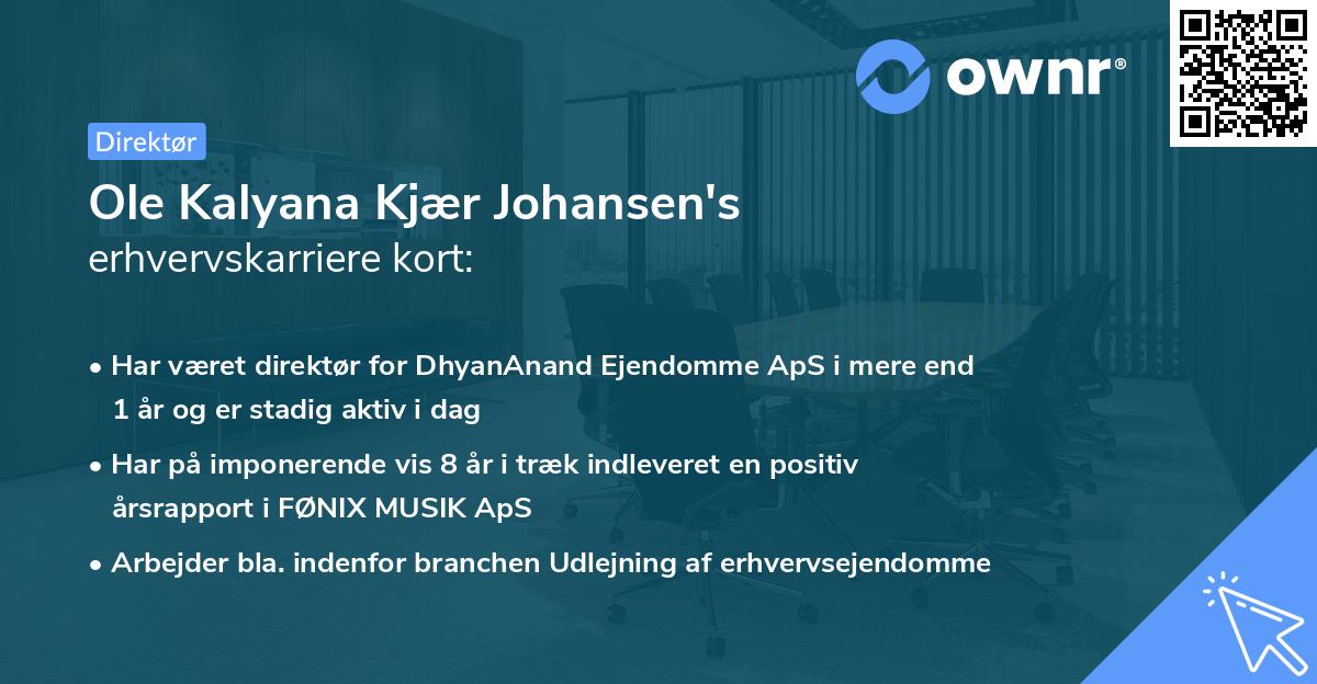 Ole Kalyana Kjær Johansen's erhvervskarriere kort