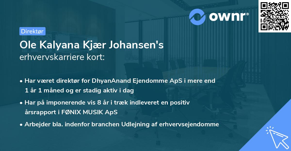 Ole Kalyana Kjær Johansen's erhvervskarriere kort