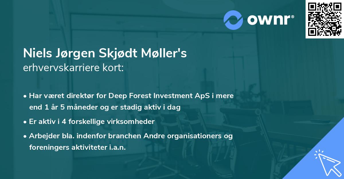 Niels Jørgen Skjødt Møller's erhvervskarriere kort