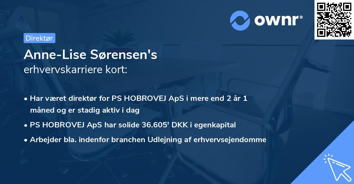 Anne-Lise Sørensen's erhvervskarriere kort