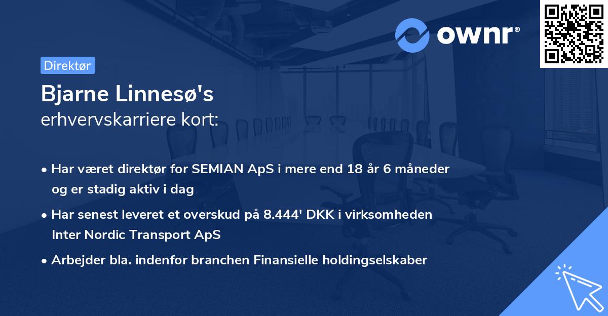 Bjarne Linnesø's erhvervskarriere kort