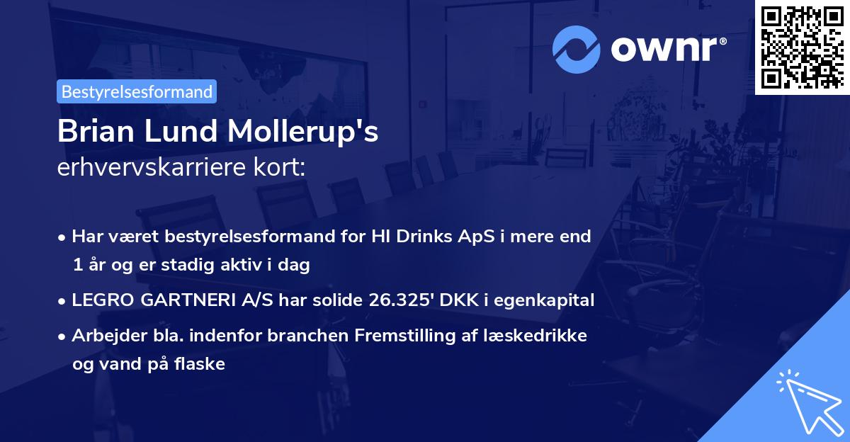 Brian Lund Mollerup's erhvervskarriere kort