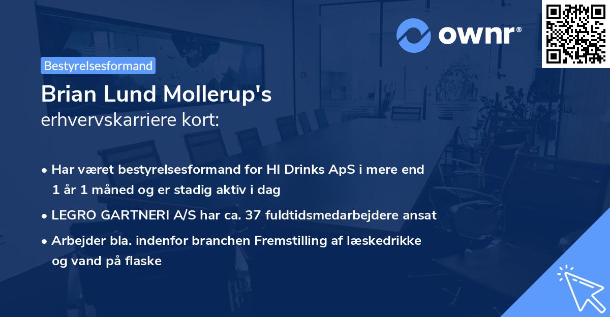 Brian Lund Mollerup's erhvervskarriere kort