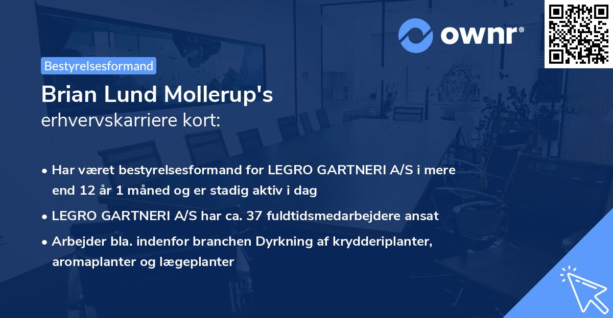 Brian Lund Mollerup's erhvervskarriere kort