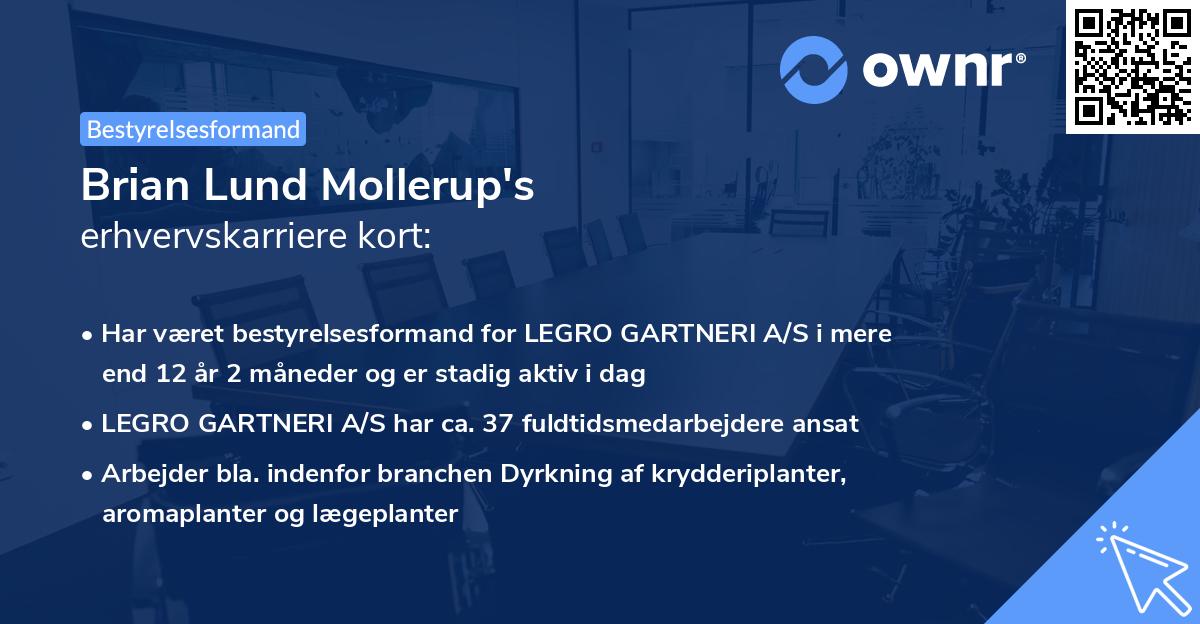 Brian Lund Mollerup's erhvervskarriere kort