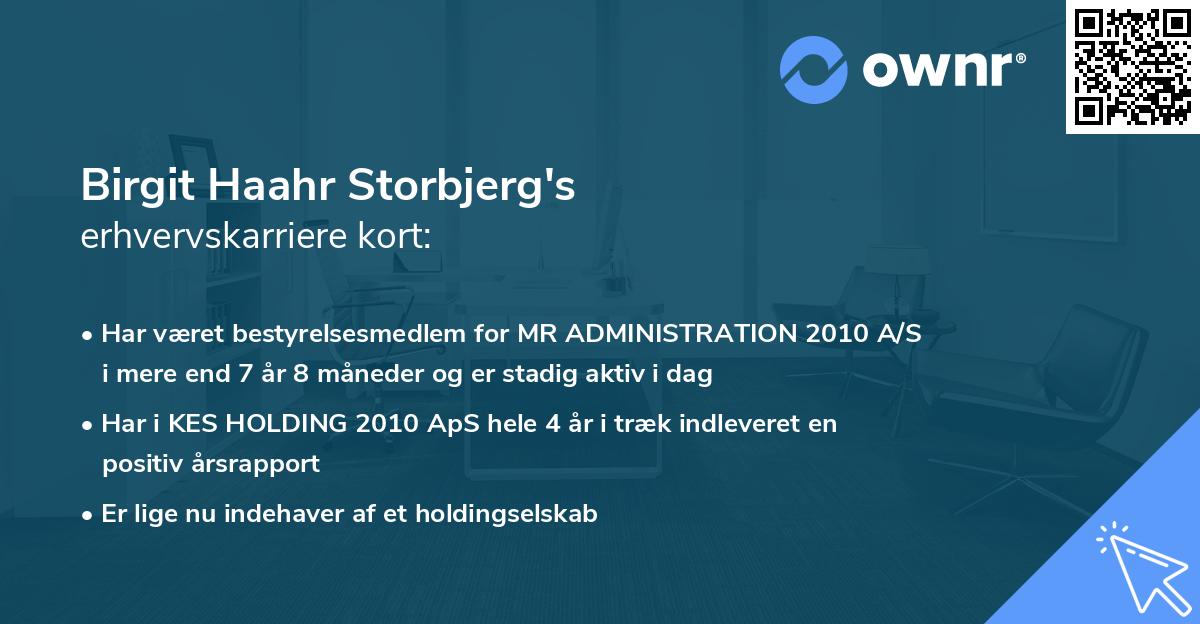 Birgit Haahr Storbjerg's erhvervskarriere kort