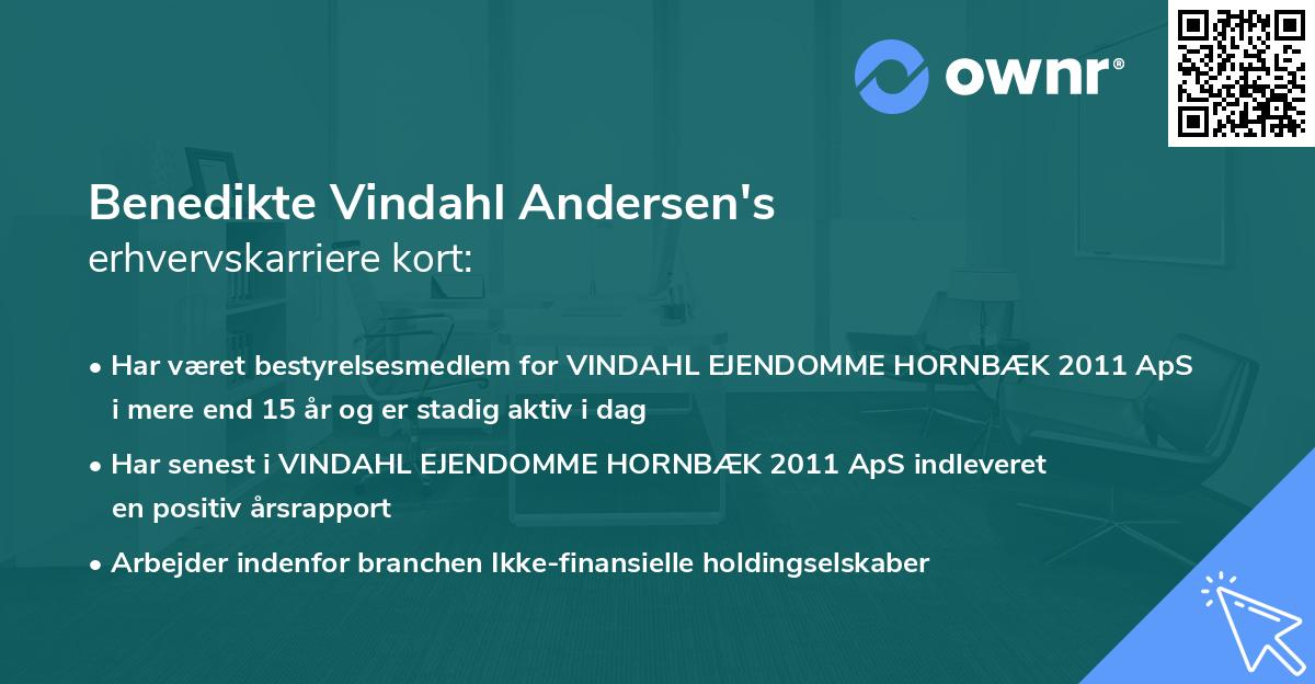 Benedikte Vindahl Andersen's erhvervskarriere kort