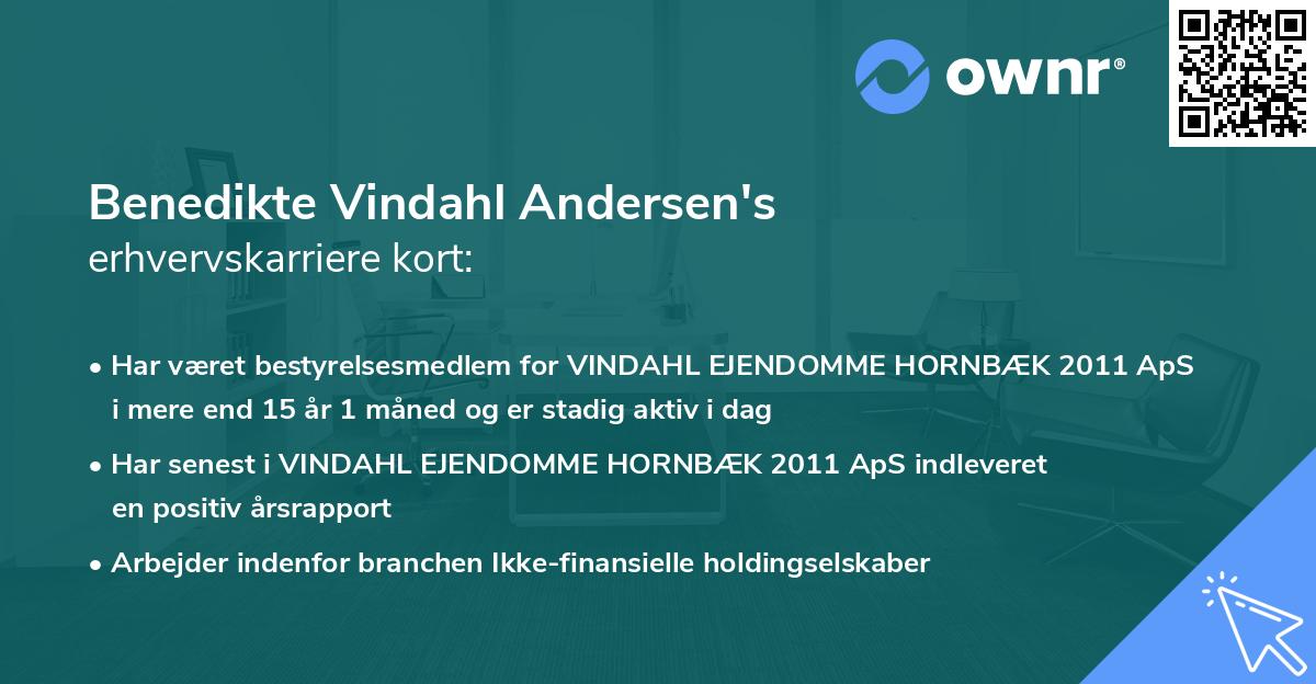 Benedikte Vindahl Andersen's erhvervskarriere kort
